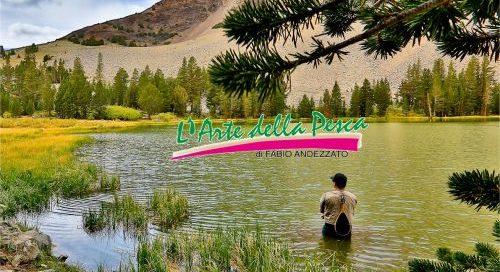 Portfolio Ingematic - Arte della Pesca - Promotional Marketing per negozio di Pesca Sportiva