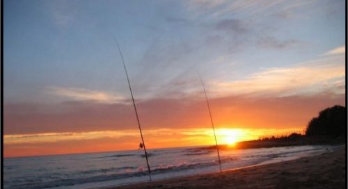 Portfolio Ingematic - Cliente Hobby Pesca - Portale Web di Informazione e Servizi dedicato alla Pesca Sportiva in Mare e Acque Interne