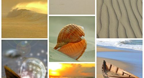 Portfolio Ingematic - Cliente Pesca & Relax - Sito Aziendale, organizzazione Viaggi di Pesca