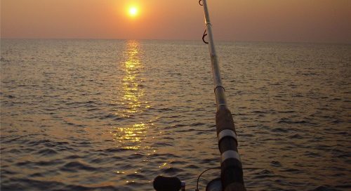 Portfolio Ingematic - Sasa Fishing - Promotional Marketing distributore brand pesca sportiva 2009