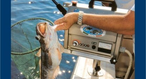 Portfolio Ingematic - Cliente Willy Fishing - Ecommerce B2C Specializzato Pesca di Profondità