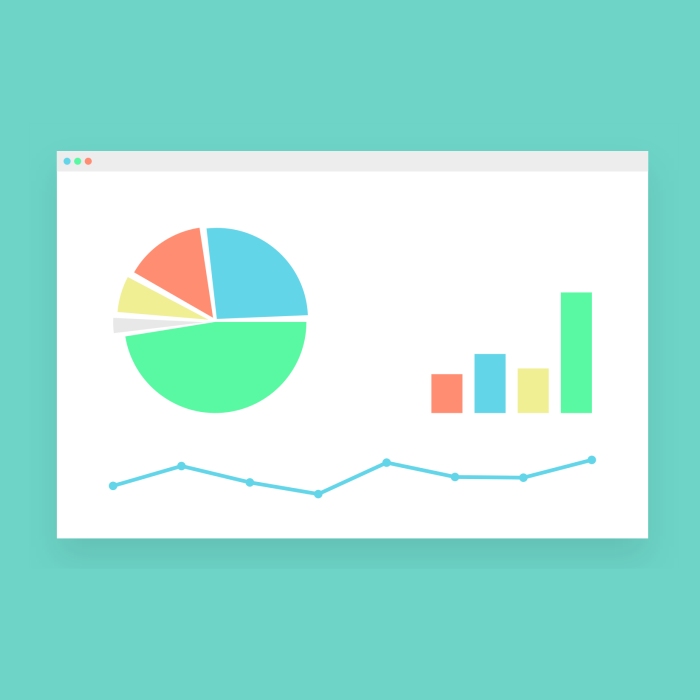 Slide Web Analyitics - Servizi Ingematic Digital Agency